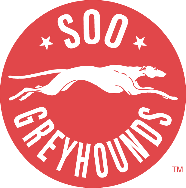 Sault Ste. Marie Greyhounds 1972 73-1994 95 Primary Logo vinyl decal